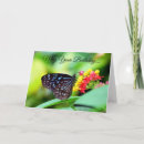 Search for may birthday cards Butterfly