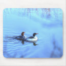 Search for merganser duck Birds
