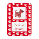 Search for scotty magnets Scottish terrier