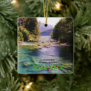 Search for argentina christmas tree decorations South america