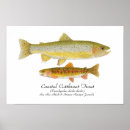Search for trout posters Salmon