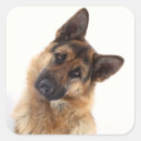 Search for funny german stickers Pet
