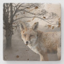 Search for fox photography Elegant
