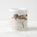Search for cute baby chicks mugs Animals in the wild