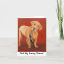 Search for chewing cards Pet