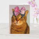 Search for cat puns birthday cards For her