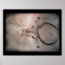 Search for antelopes art Gazelle
