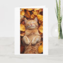 Search for ginger cards Cat