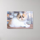 Search for persian canvas prints Purebred cat