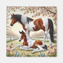 Search for foal magnets Mare and foal