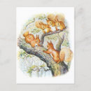 Search for beatrix potter postcards Cute