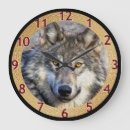 Search for wolf clocks Wildlife