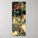 Search for dragonfly posters Botanical