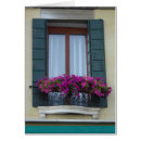 Search for window box Blank