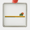 Search for tucson christmas tree decorations Cactus