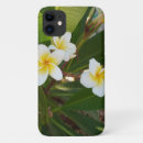 Search for frangipani iphone cases Plumeria