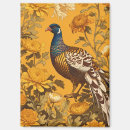 Search for pheasant magnets Wildlife
