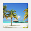 Search for maldives magnets Palm tree