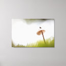 Search for tiny small art Insect
