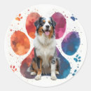 Search for australian shepherd stickers Animal