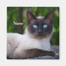 Search for eye magnets Animal