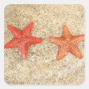Search for topical stickers Sealife
