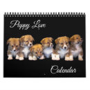 Search for love calendars Dogs