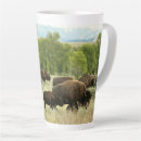 Search for bison mugs Wyoming