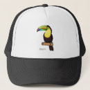 Search for toucan hats Bird