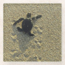 Search for baby turtle barware Tropical