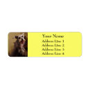 Search for mini schnauzer return address labels Cute