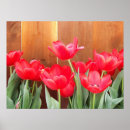 Search for garden fence posters Red