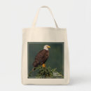 Search for bald bags Birds of prey