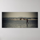 Search for lifeguards posters Sea