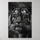 Search for fineart posters Portrait