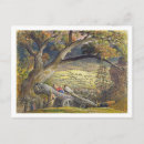 Search for gouache postcards Samuel
