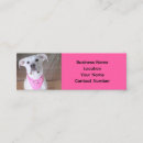 Search for hot dog business cards Pet