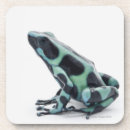 Search for dart coasters Animal