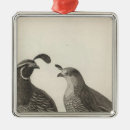 Search for quail christmas tree decorations Illustration