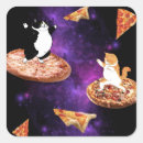 Search for galaxy cat stickers Cute