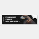 Search for raptor bumper stickers Birds of prey