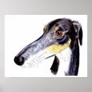 Search for saluki posters Funny