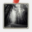 Search for sequoia national park christmas tree decorations Landscape