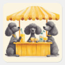 Search for standard poodle stickers Puppy