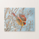 Search for cardinal puzzles Northern