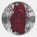 Search for skeletal stickers Anatomy