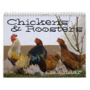 Search for rooster calendars Eggs