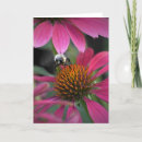 Search for bee stuff cards Summer