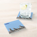 Search for puffin coasters Animals