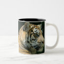 Search for sumatran tiger mugs Zoo